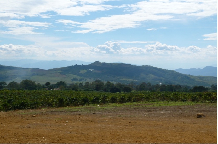 Paisaje — Gigante
